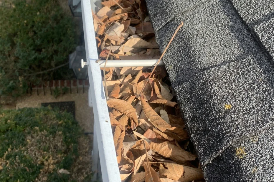 Gutter Cleaning Pelion