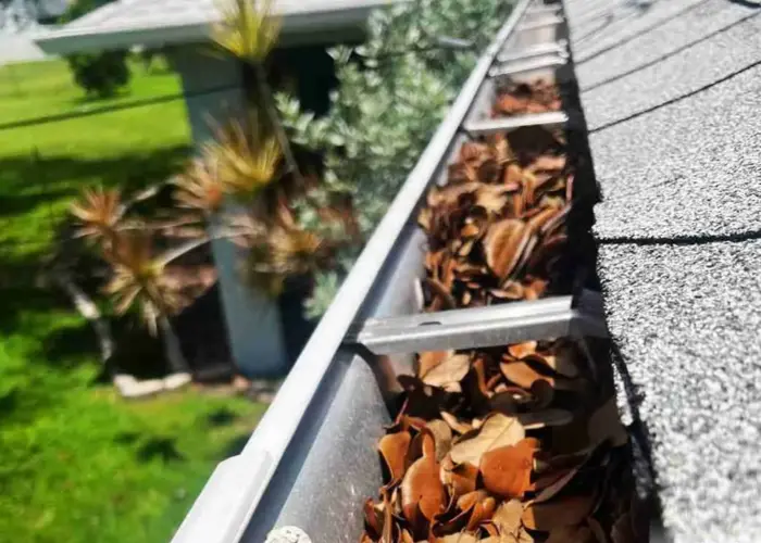 Gutter Cleaning Pelion home page